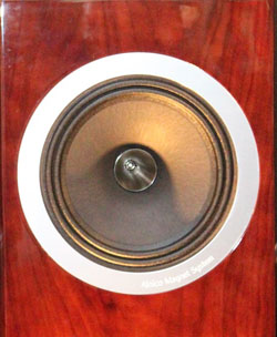 Name:  tannoy_DC10a_close-up_scaled.jpg
Views: 2200
Size:  41.9 KB